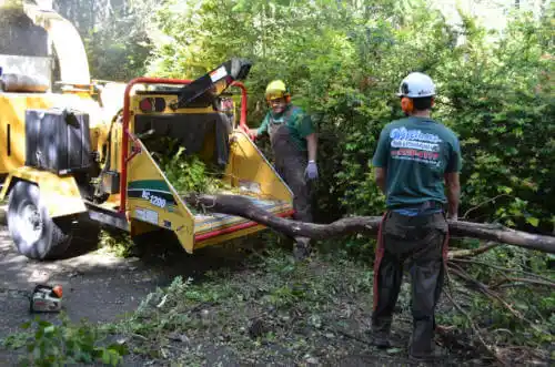 tree services Barrington Hills